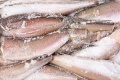 Замороженная рыба изображение на сайте Михайловского рынка